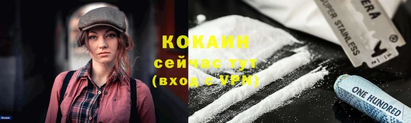 spice Абаза