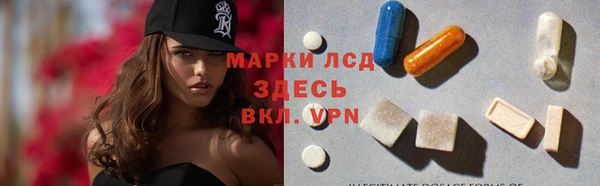 гашик Костерёво
