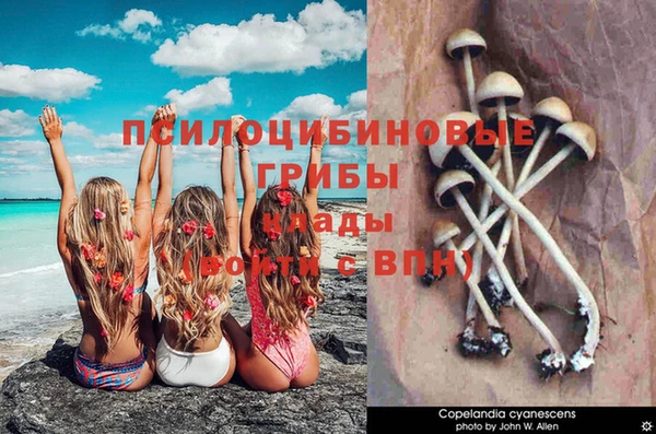 соль ск Алзамай
