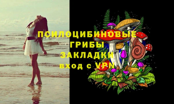 прущий лед Алексин