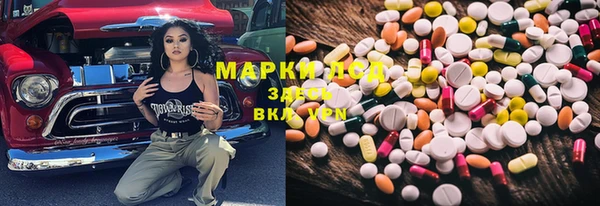 spice Абаза